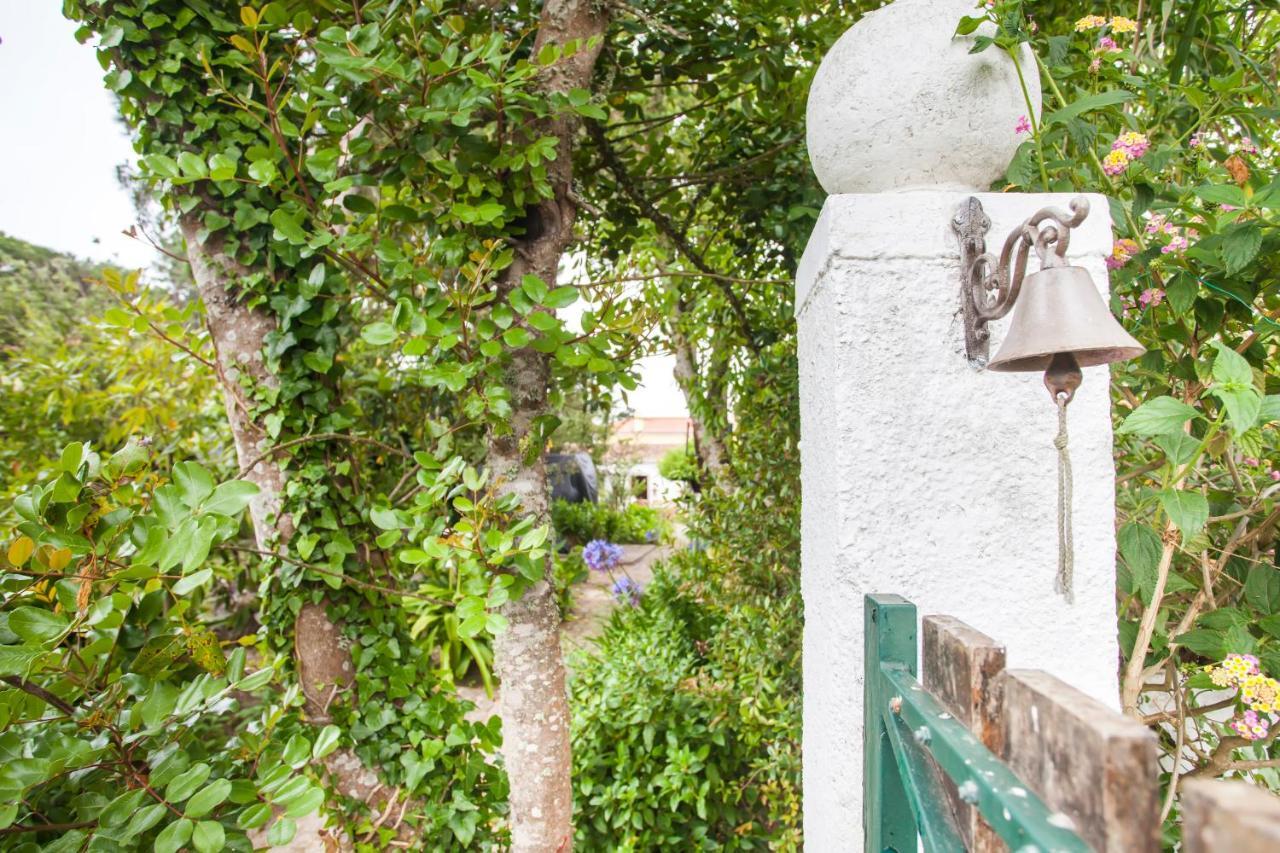 Beautiful Country House&romantic Garden Sintra